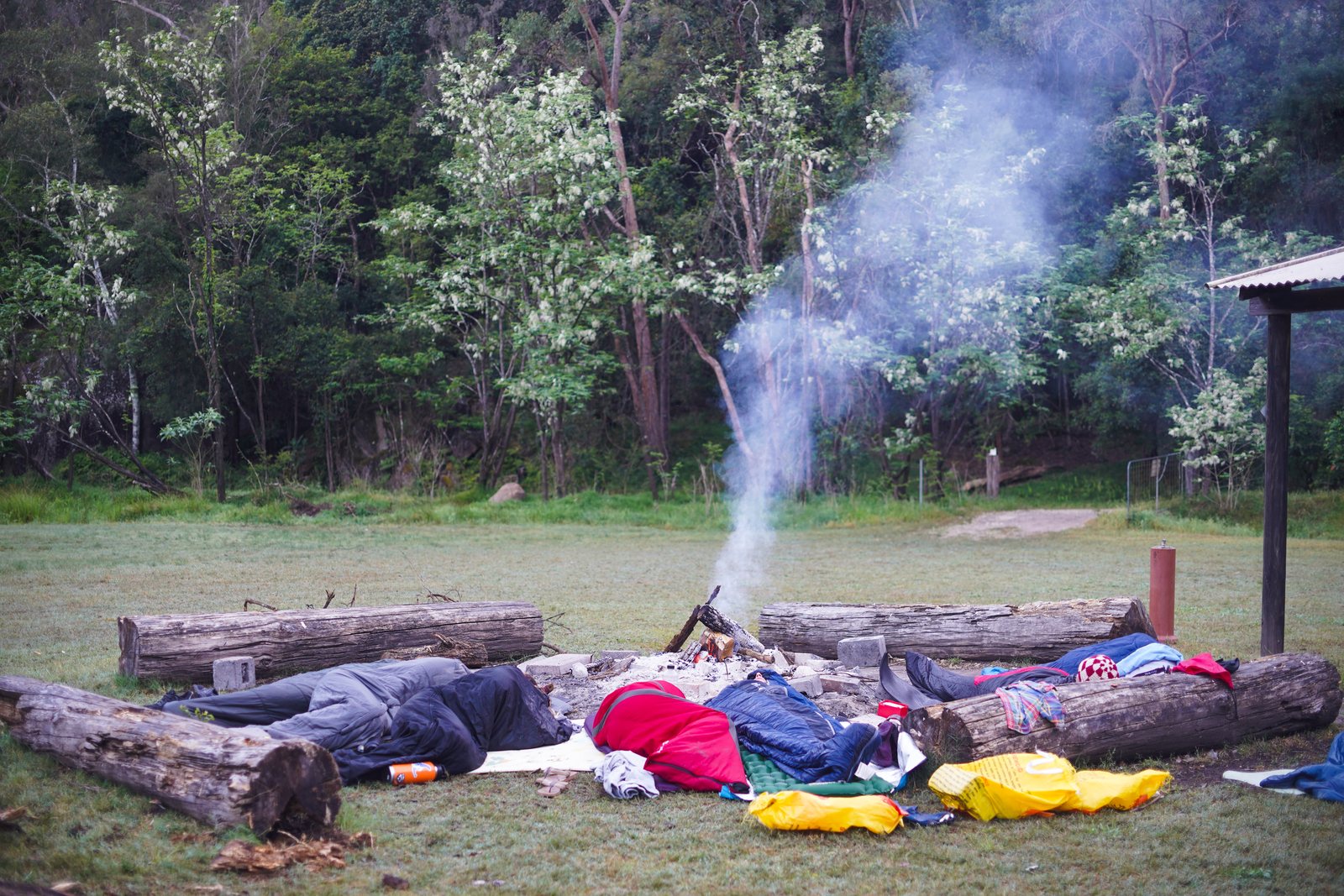 Early morning in a grassy clearing: men asleep in sleeping bags around a smoking fire ring of logs
