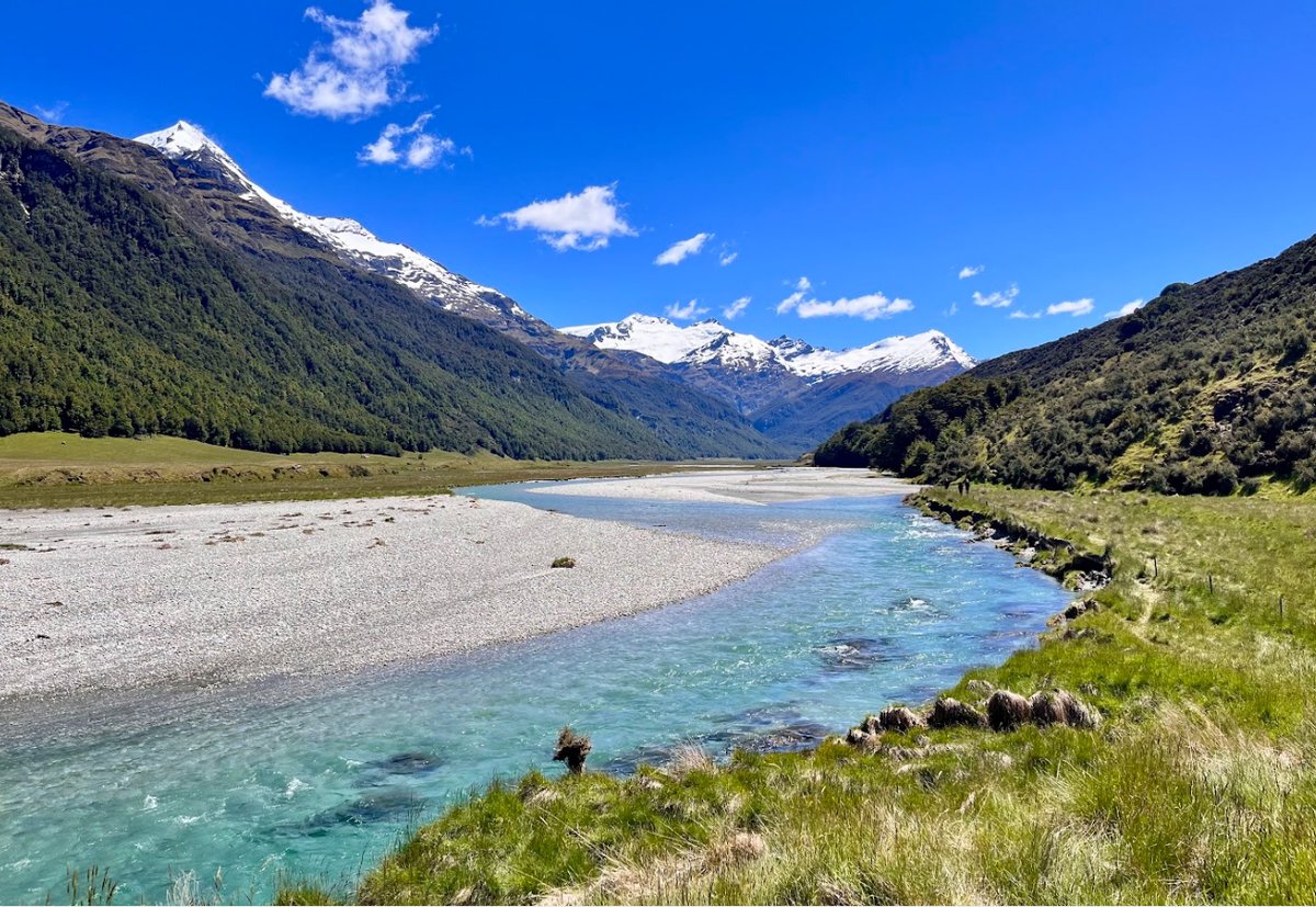 A turquoise braided river running through a green valley towards snow-capped peaks under a clear blue sky
