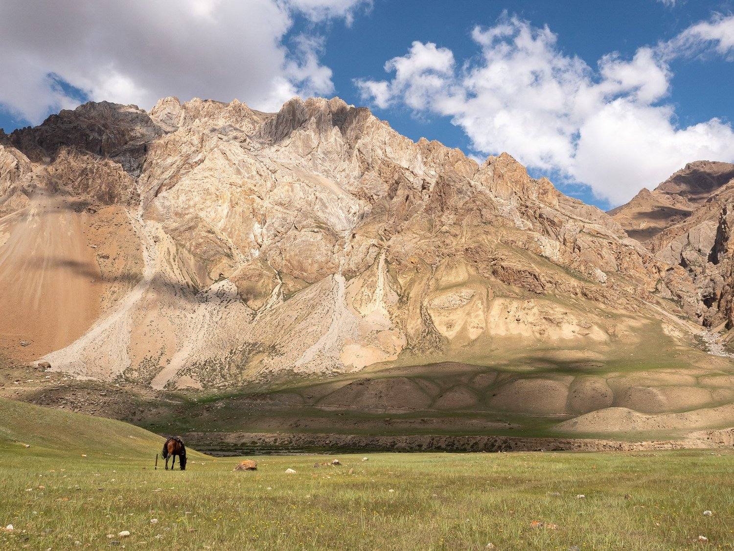 A horse grazing in wide open pasture below high, bare peaks